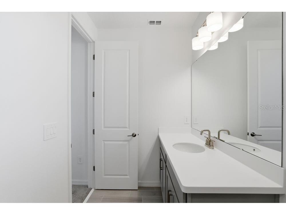 14740 Field Daisy Drive Winter Garden FL 34787 O6383531 image30
