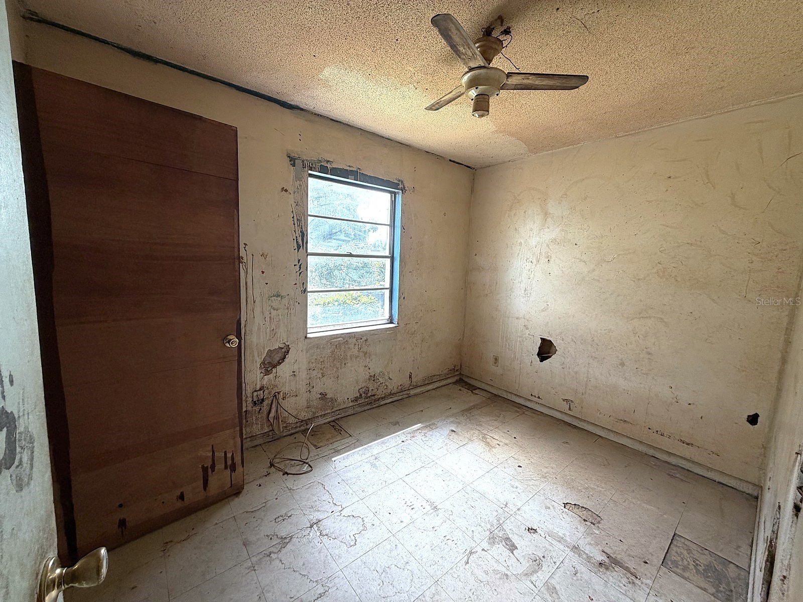 14741 12th Street Dade City FL 33523 W7886360 image4