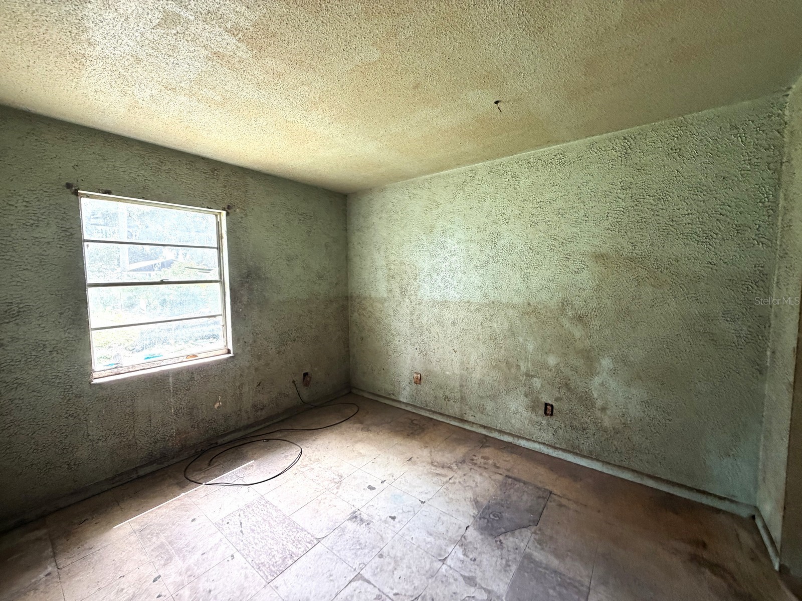 14741 12th Street Dade City FL 33523 W7886360 image7