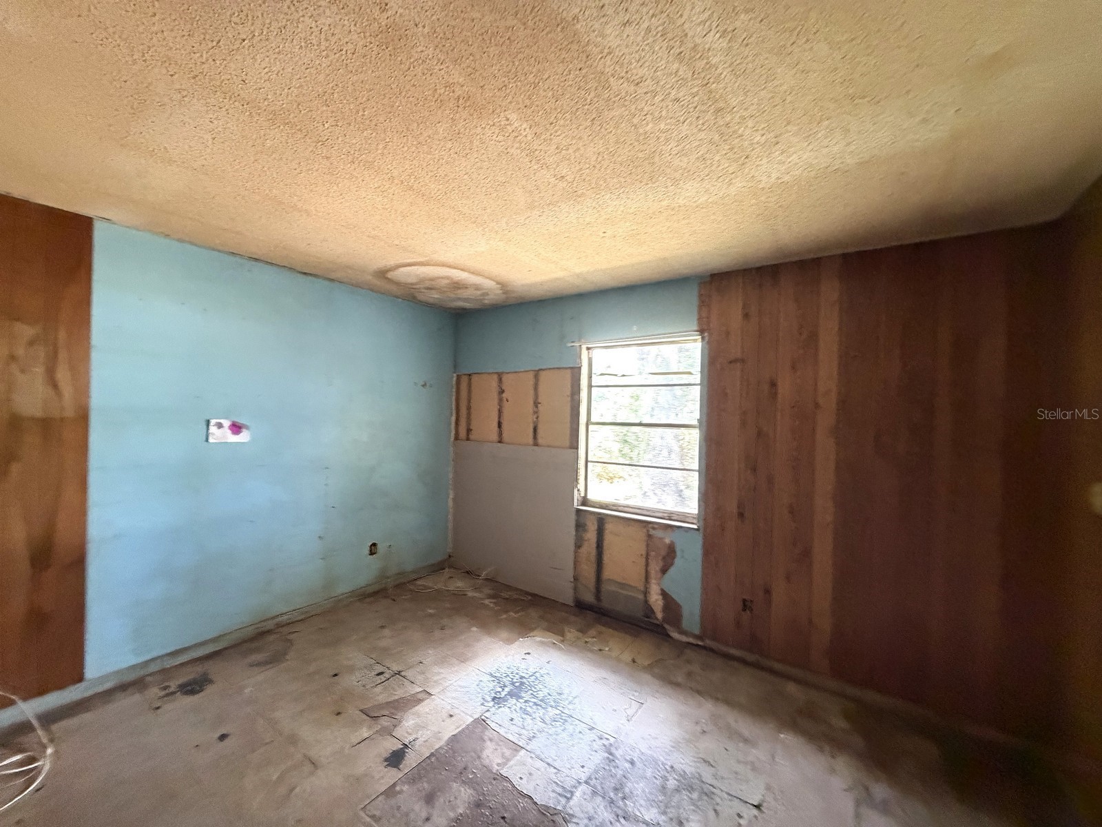14741 12th Street Dade City FL 33523 W7886360 image8