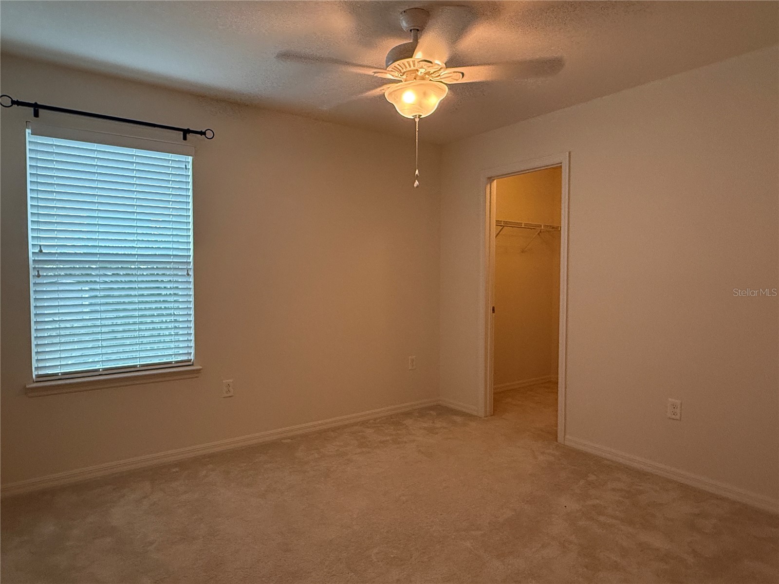 14741 Snowy Egret Street Winter Garden FL 34787 O6419534 image23