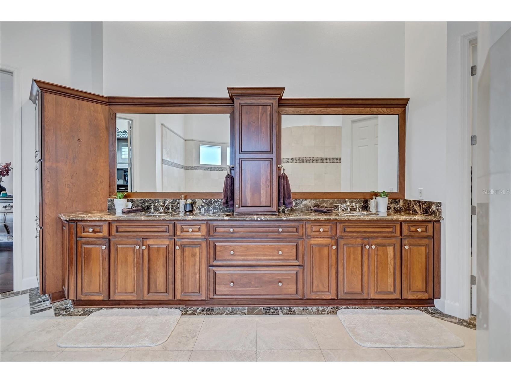 14742 Waterchase Boulevard Tampa FL 33626 TB8526460 image27