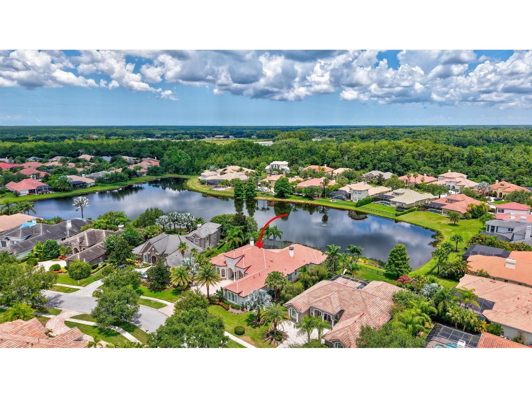 14742 Waterchase Boulevard Tampa FL 33626 TB8526460 image3