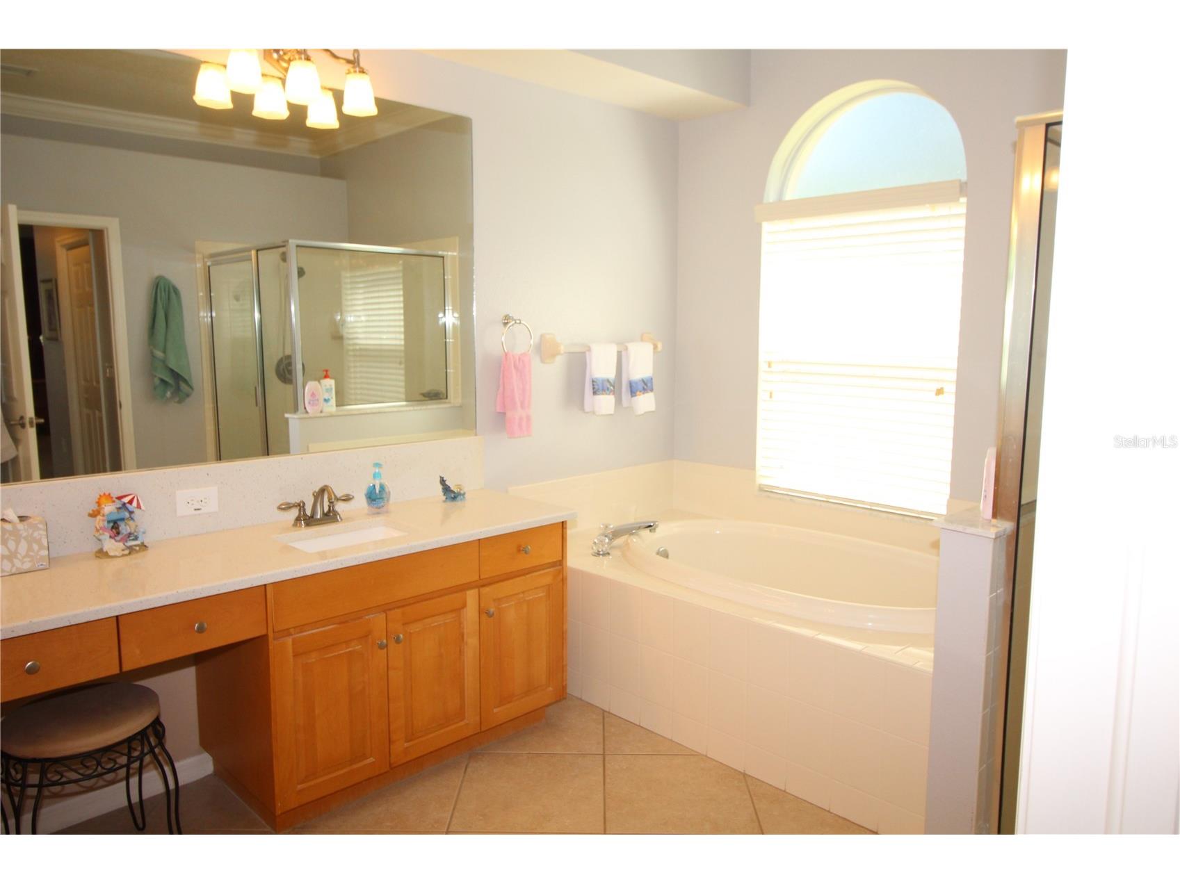 14743 Heronglen Drive Lithia FL 33547 TB8504555 image19
