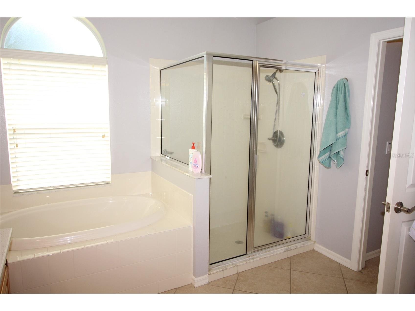 14743 Heronglen Drive Lithia FL 33547 TB8504555 image20