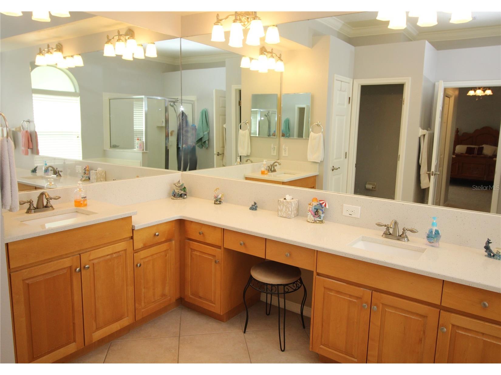 14743 Heronglen Drive Lithia FL 33547 TB8504555 image21