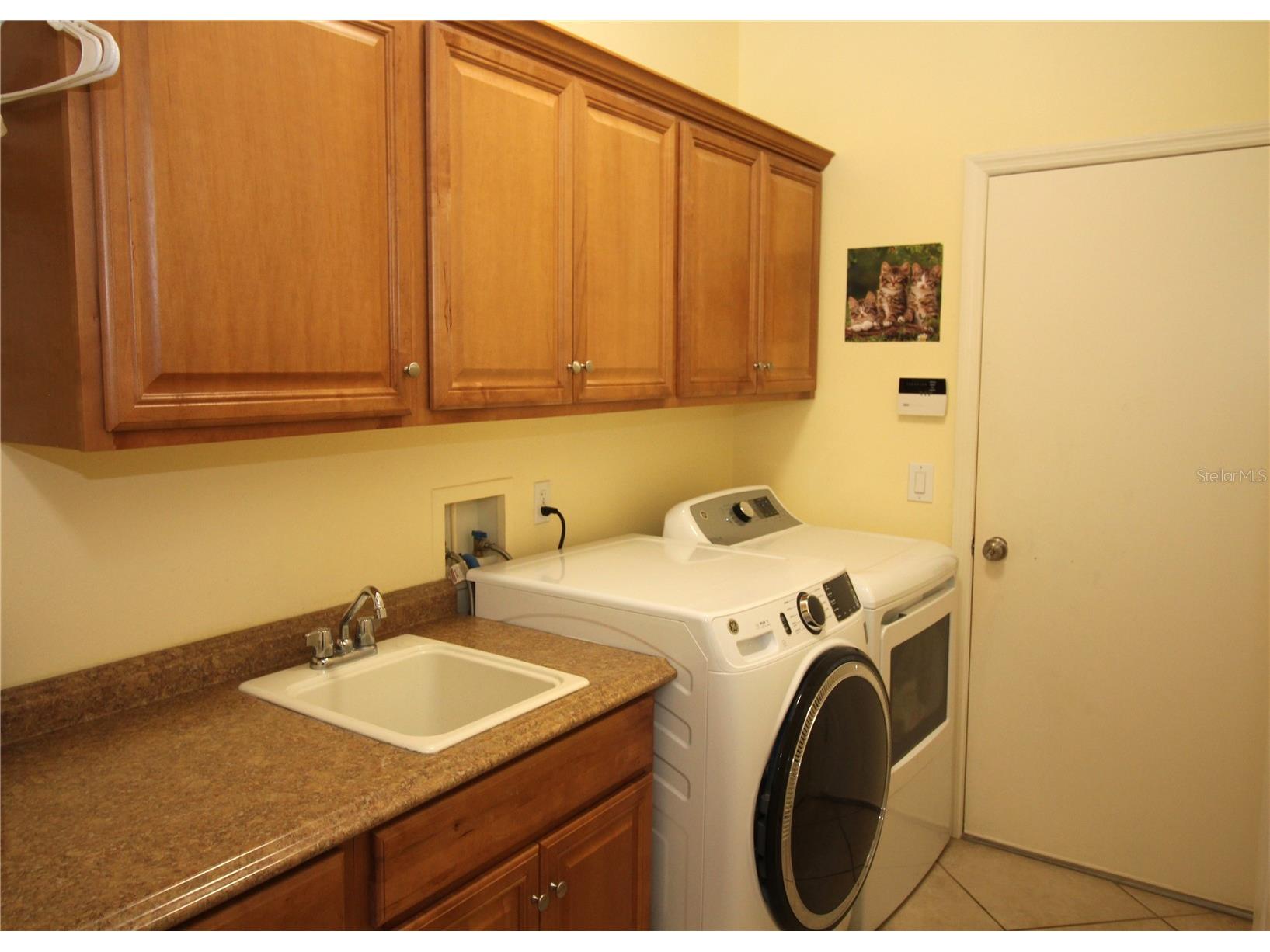 14743 Heronglen Drive Lithia FL 33547 TB8504555 image22