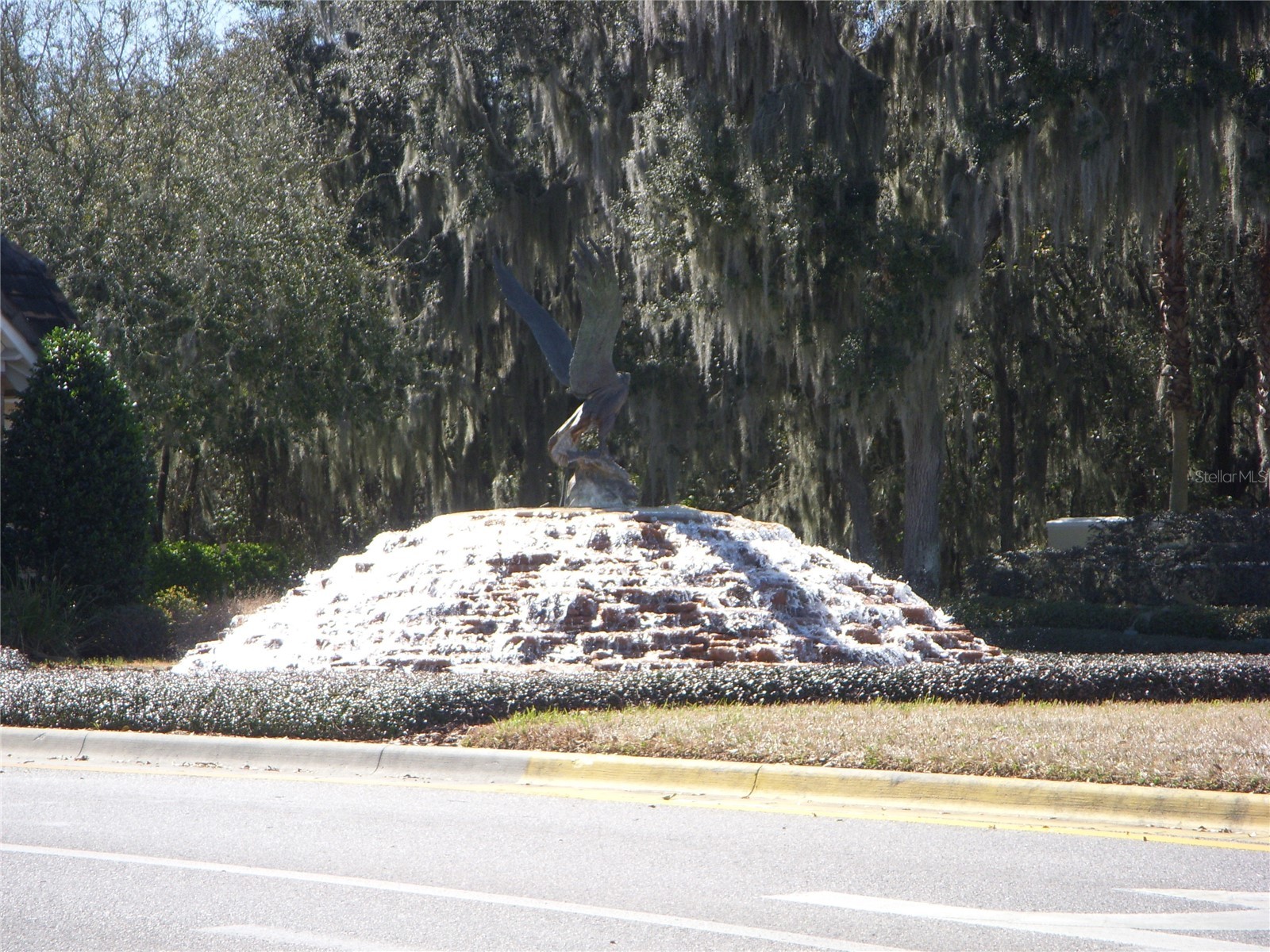 14743 Heronglen Drive Lithia FL 33547 TB8504555 image29