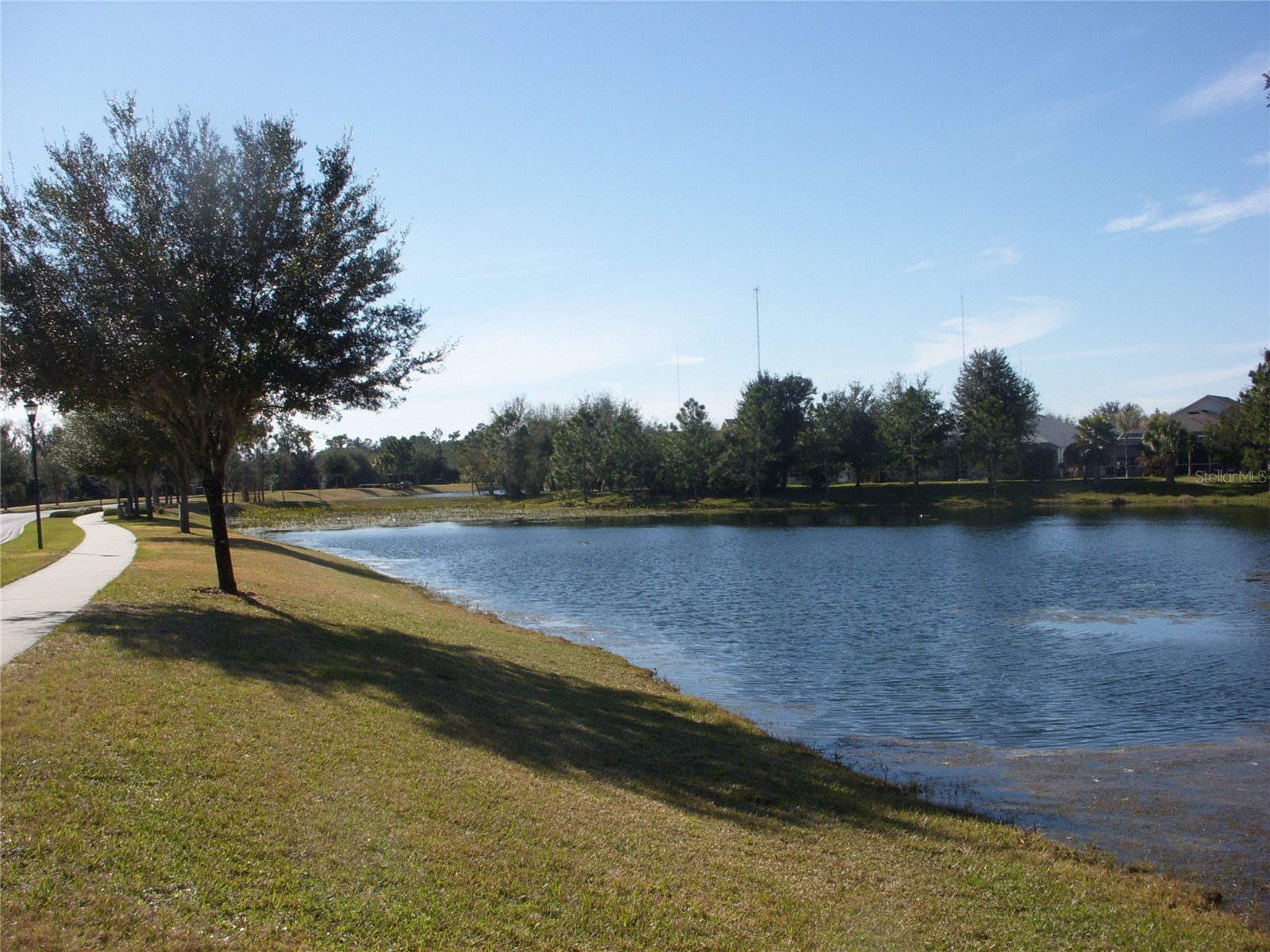 14743 Heronglen Drive Lithia FL 33547 TB8504555 image30