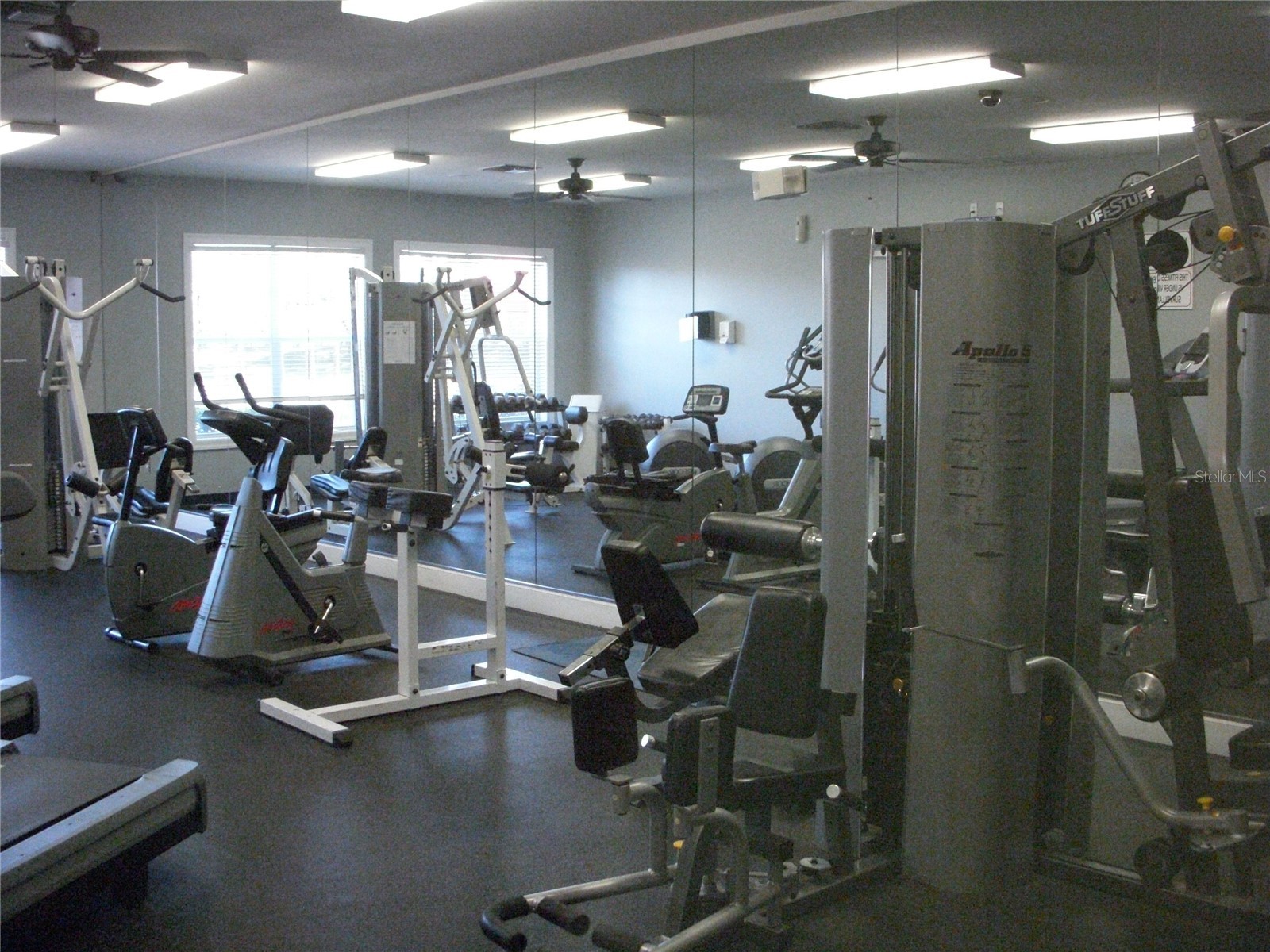 14743 Heronglen Drive Lithia FL 33547 TB8504555 image31