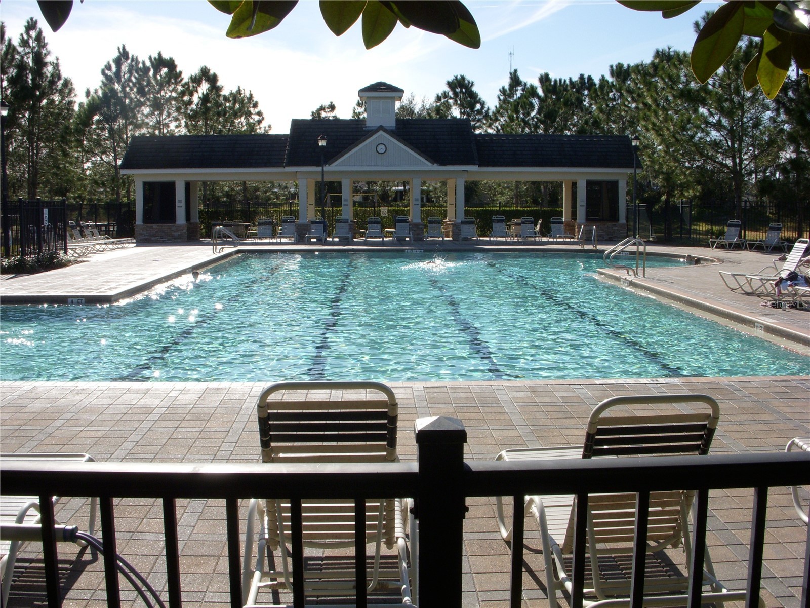 14743 Heronglen Drive Lithia FL 33547 TB8504555 image37