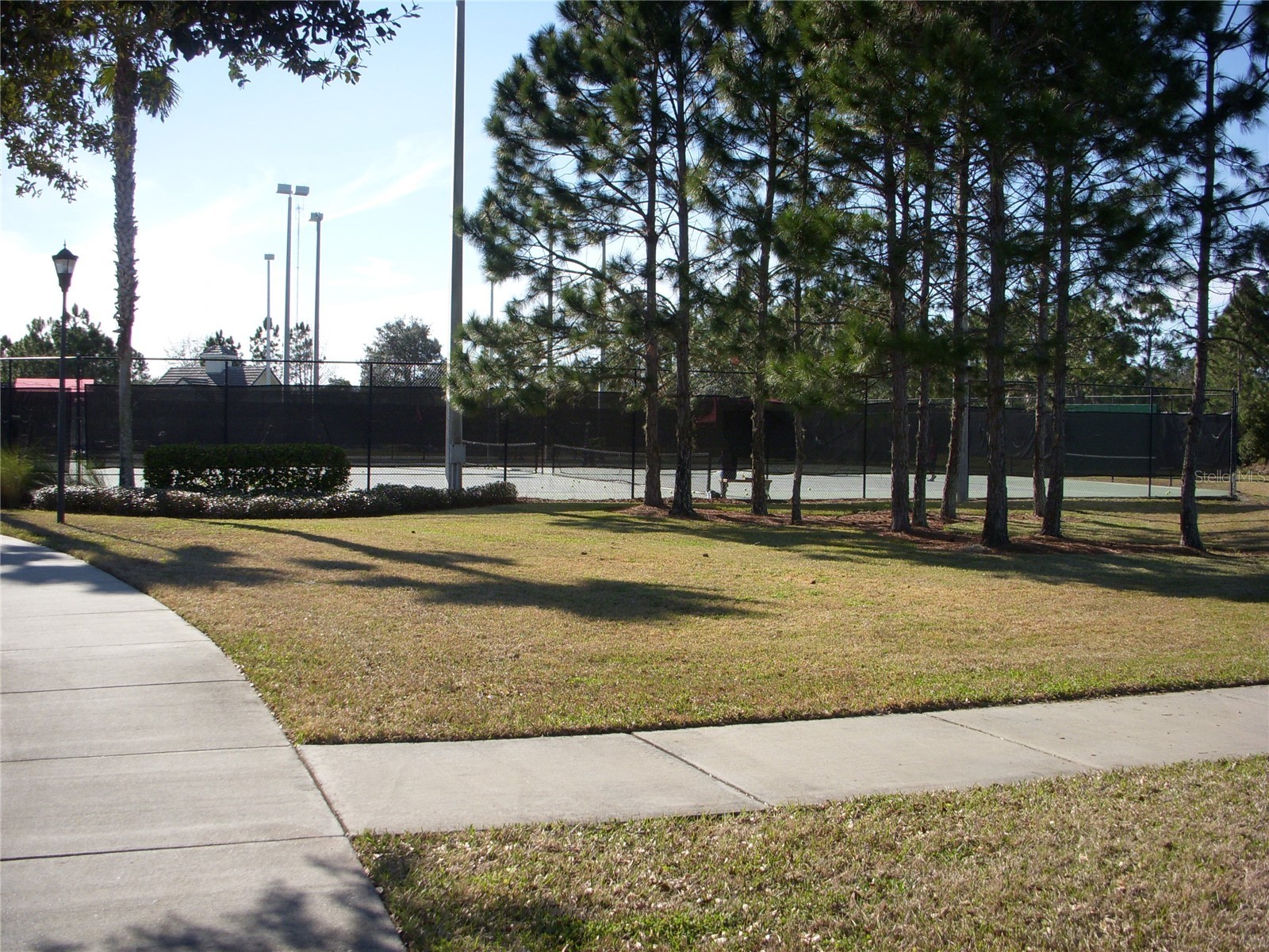 14743 Heronglen Drive Lithia FL 33547 TB8504555 image39