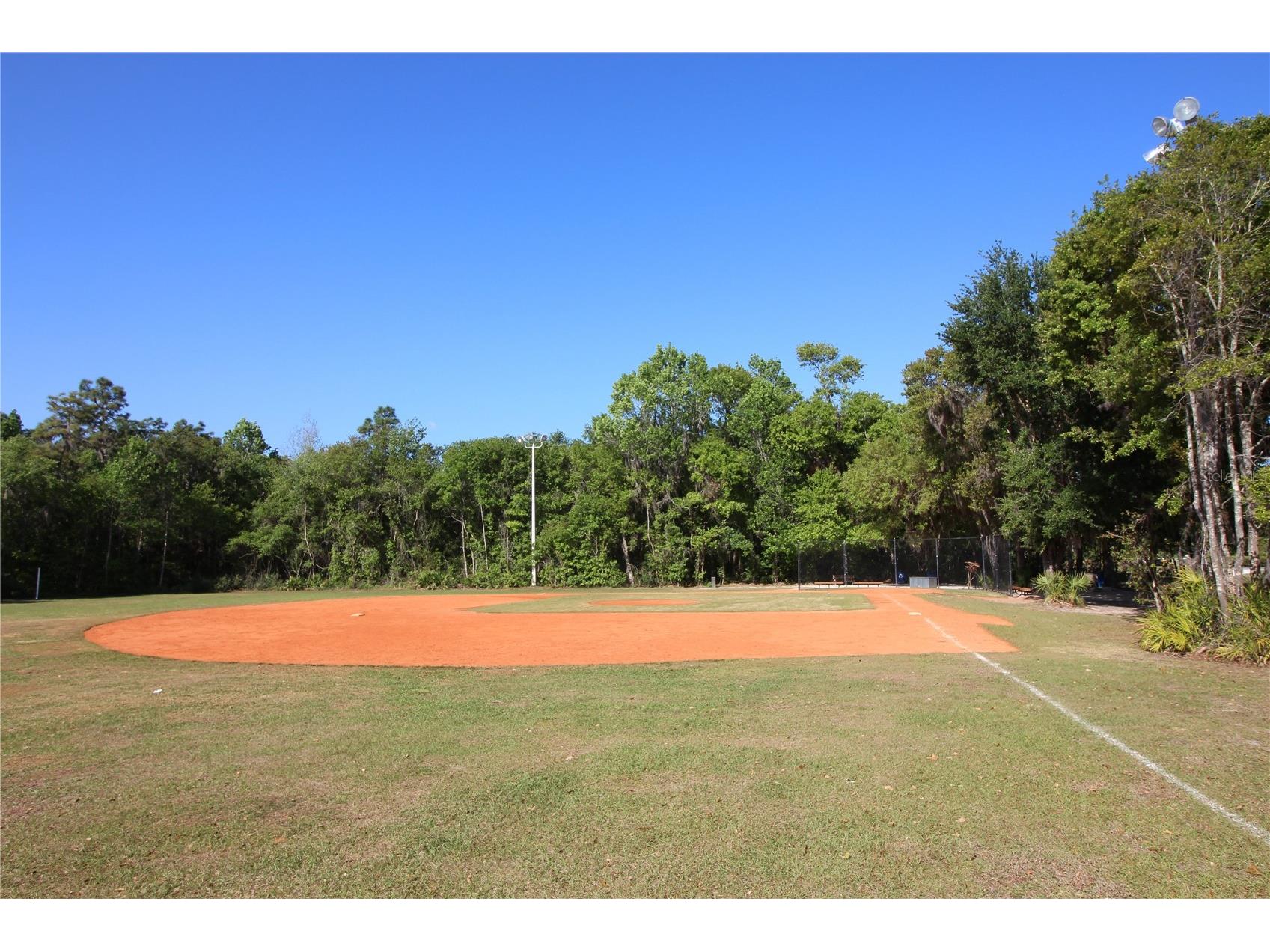14743 Heronglen Drive Lithia FL 33547 TB8504555 image40