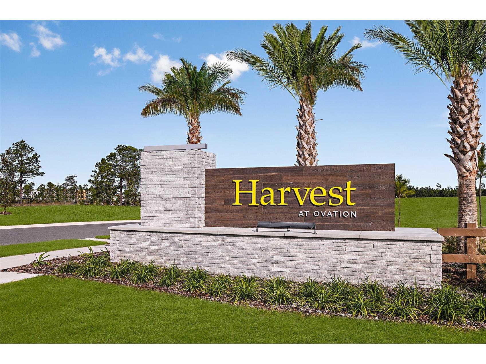 14744 Field Daisy Drive Winter Garden FL 34787 O6383550 image29