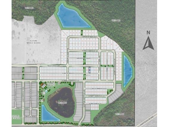14748 Field Daisy Drive Winter Garden FL 34787 O6391410 image19