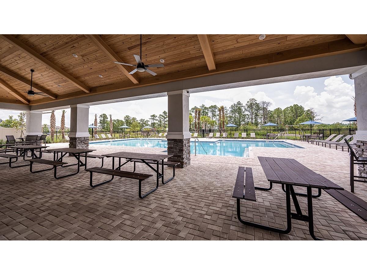 14748 Field Daisy Drive Winter Garden FL 34787 O6391410 image36