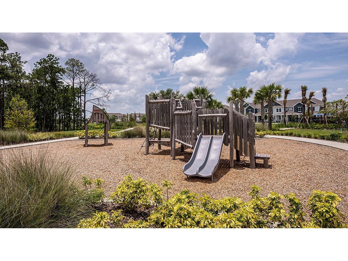 14748 Field Daisy Drive Winter Garden FL 34787 O6391410 image38