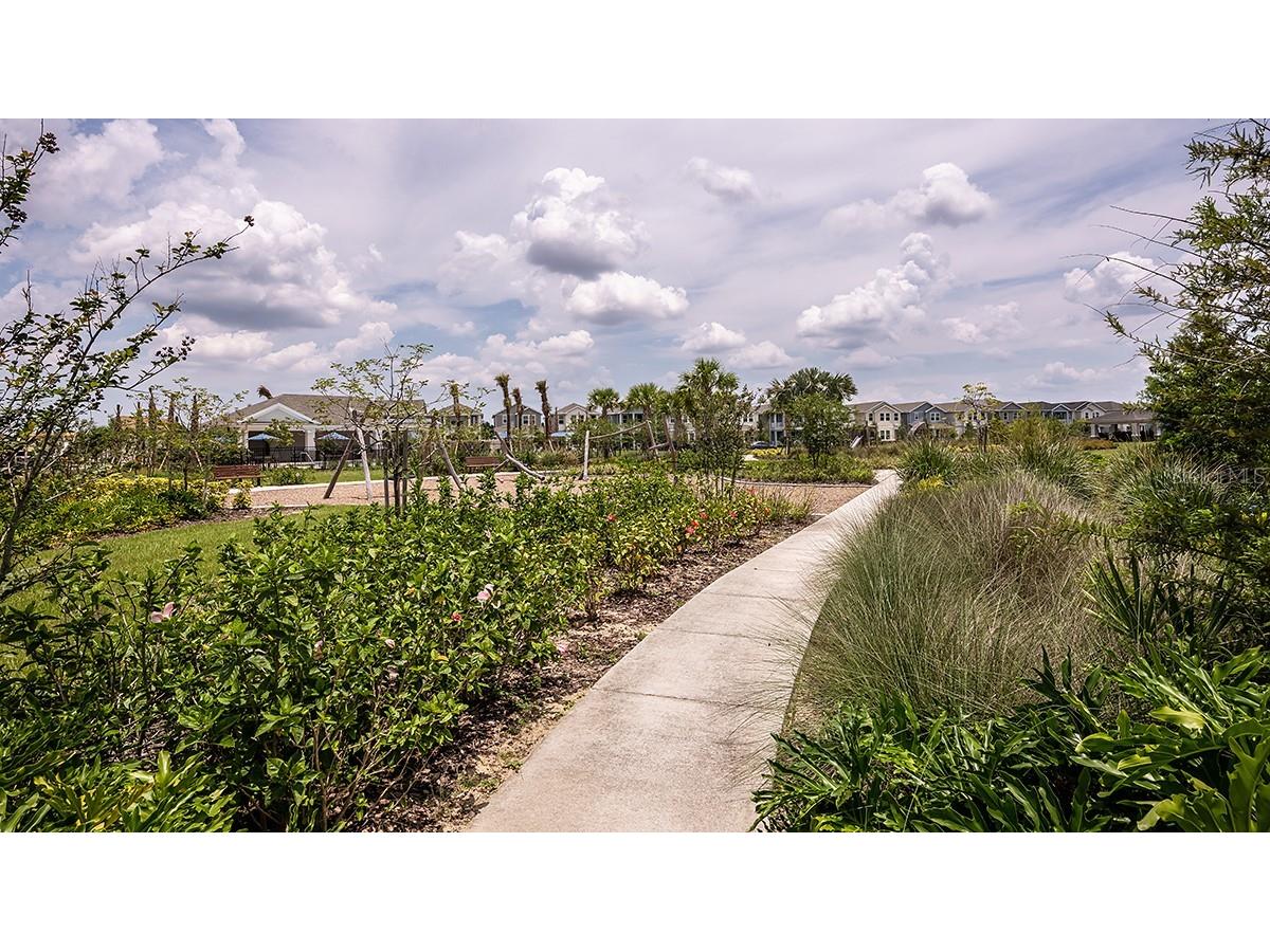 14748 Field Daisy Drive Winter Garden FL 34787 O6391410 image42