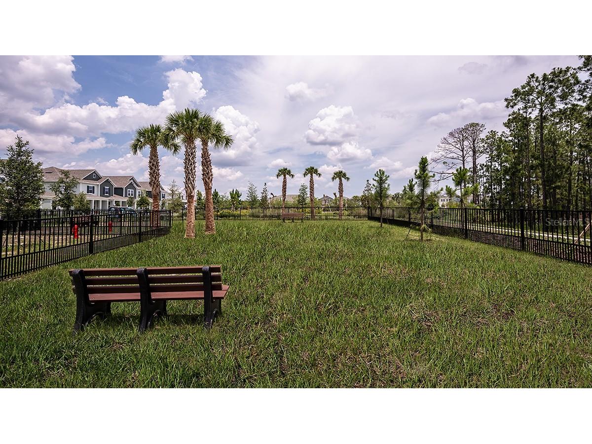 14748 Field Daisy Drive Winter Garden FL 34787 O6391410 image43
