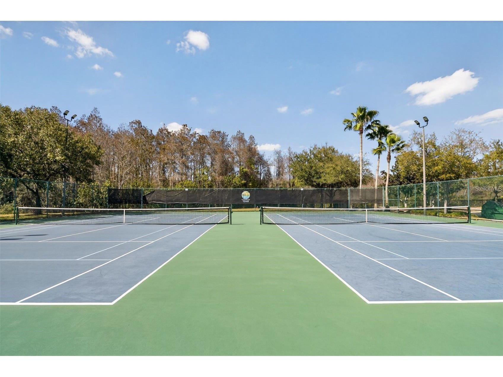 14749 Brunswood Way Orlando FL 32824 S5143574 image41