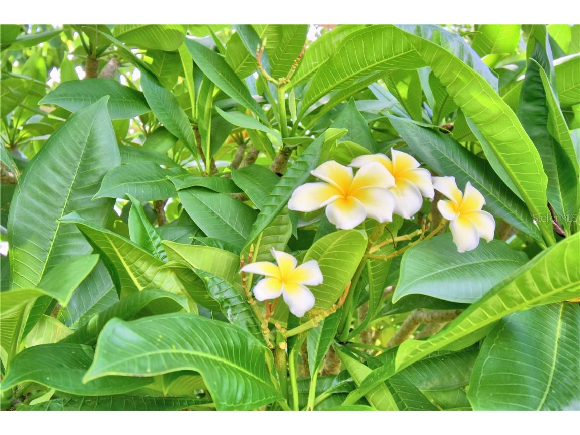 1475 S Lake Howard Drive Winter Haven FL 33880 P4934004 image25