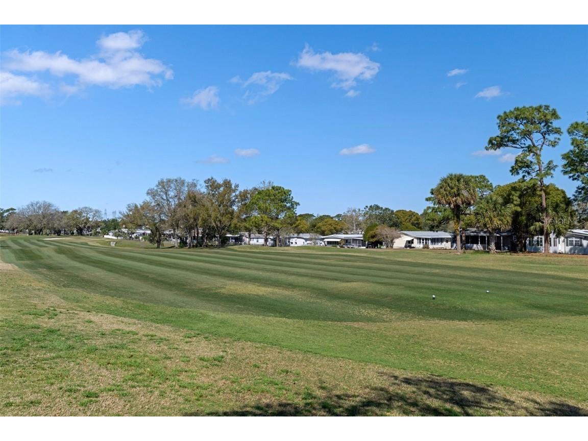 14751 Brookridge Boulevard Brooksville FL 34613 W7880350 image43