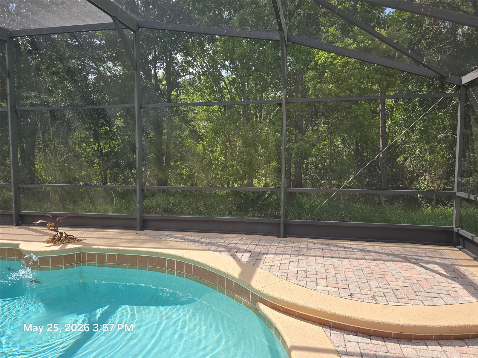 14751 Seattle Slew Place Orlando FL 32826 O6410742 image24