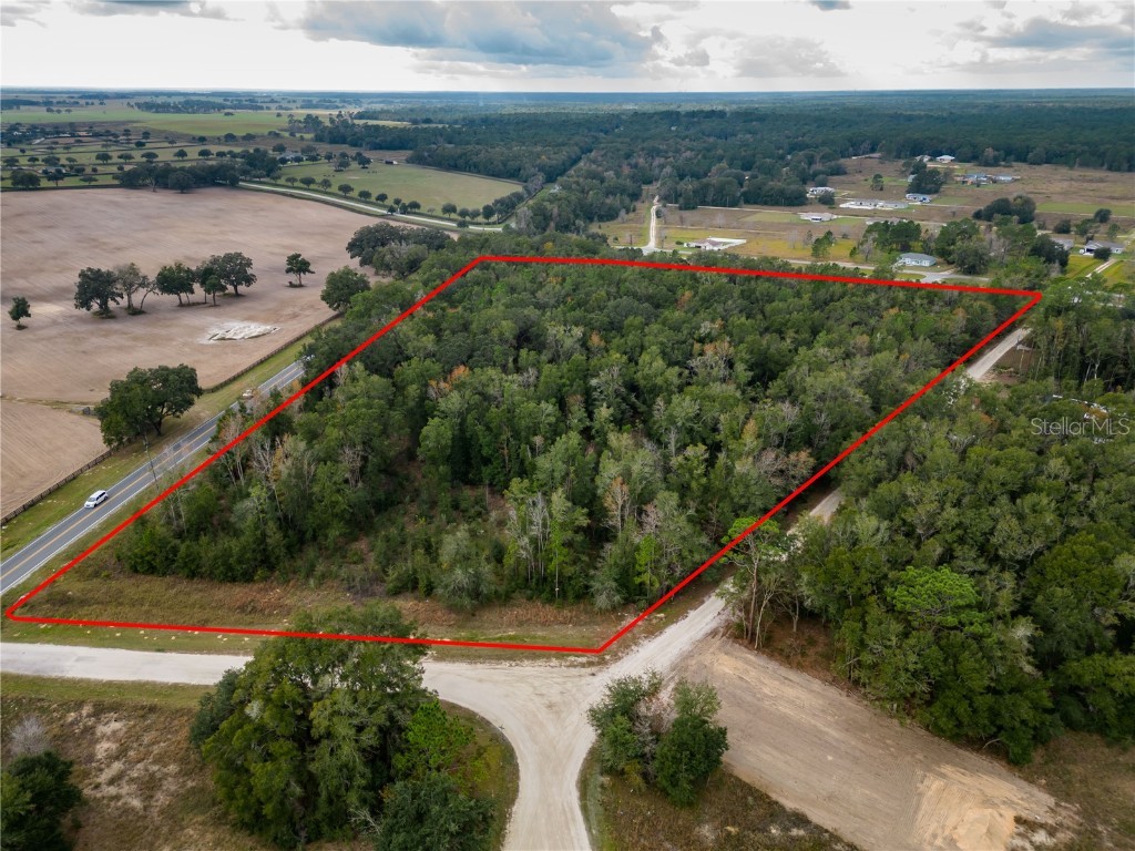 14751 W Highway 40 Ocala FL 34481 OM649917 image1