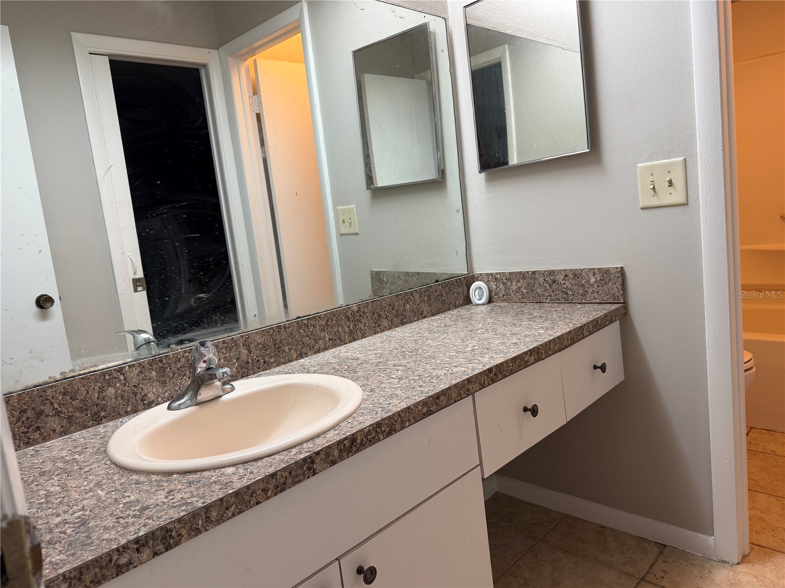 14752 Morning Drive Lutz FL 33559 TB8467957 image15