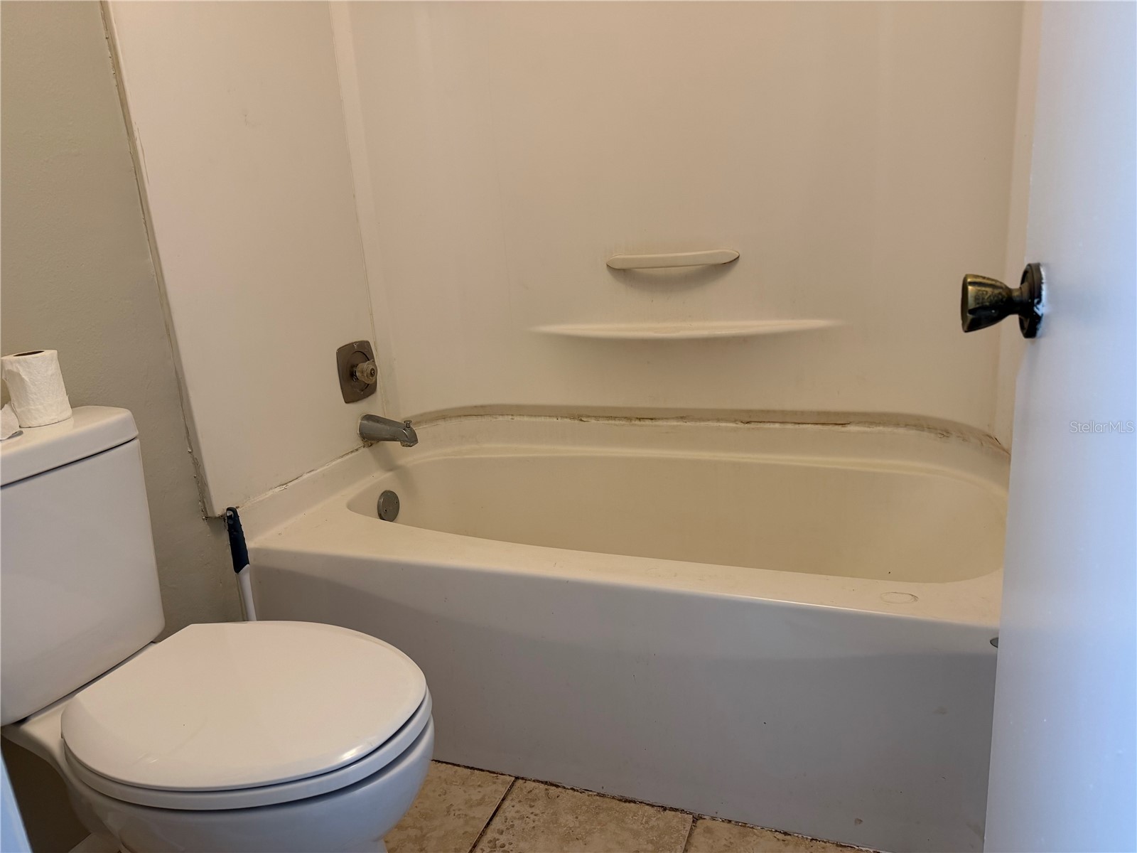 14752 Morning Drive Lutz FL 33559 TB8467957 image16