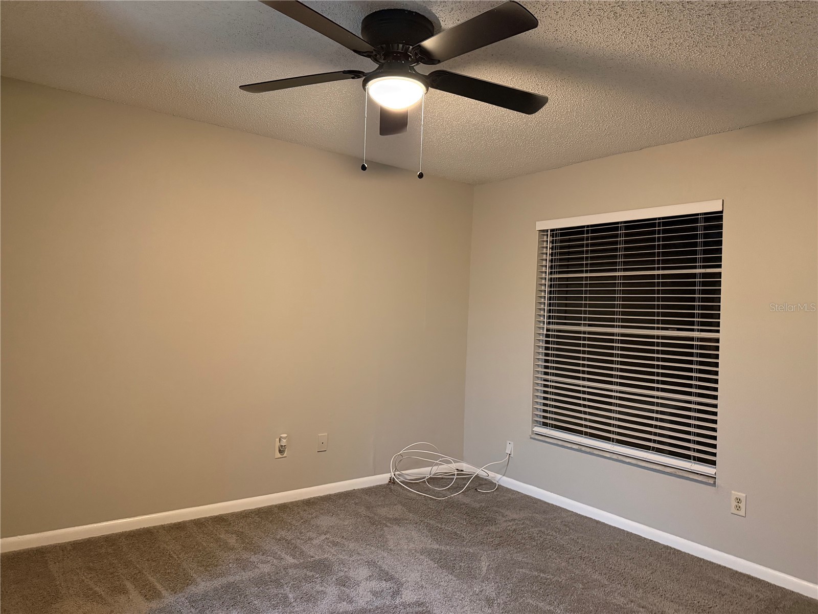 14752 Morning Drive Lutz FL 33559 TB8467957 image17