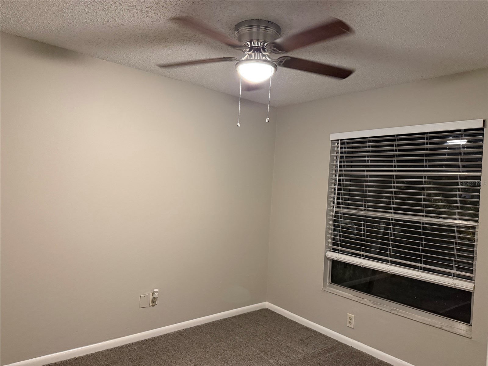 14752 Morning Drive Lutz FL 33559 TB8467957 image18