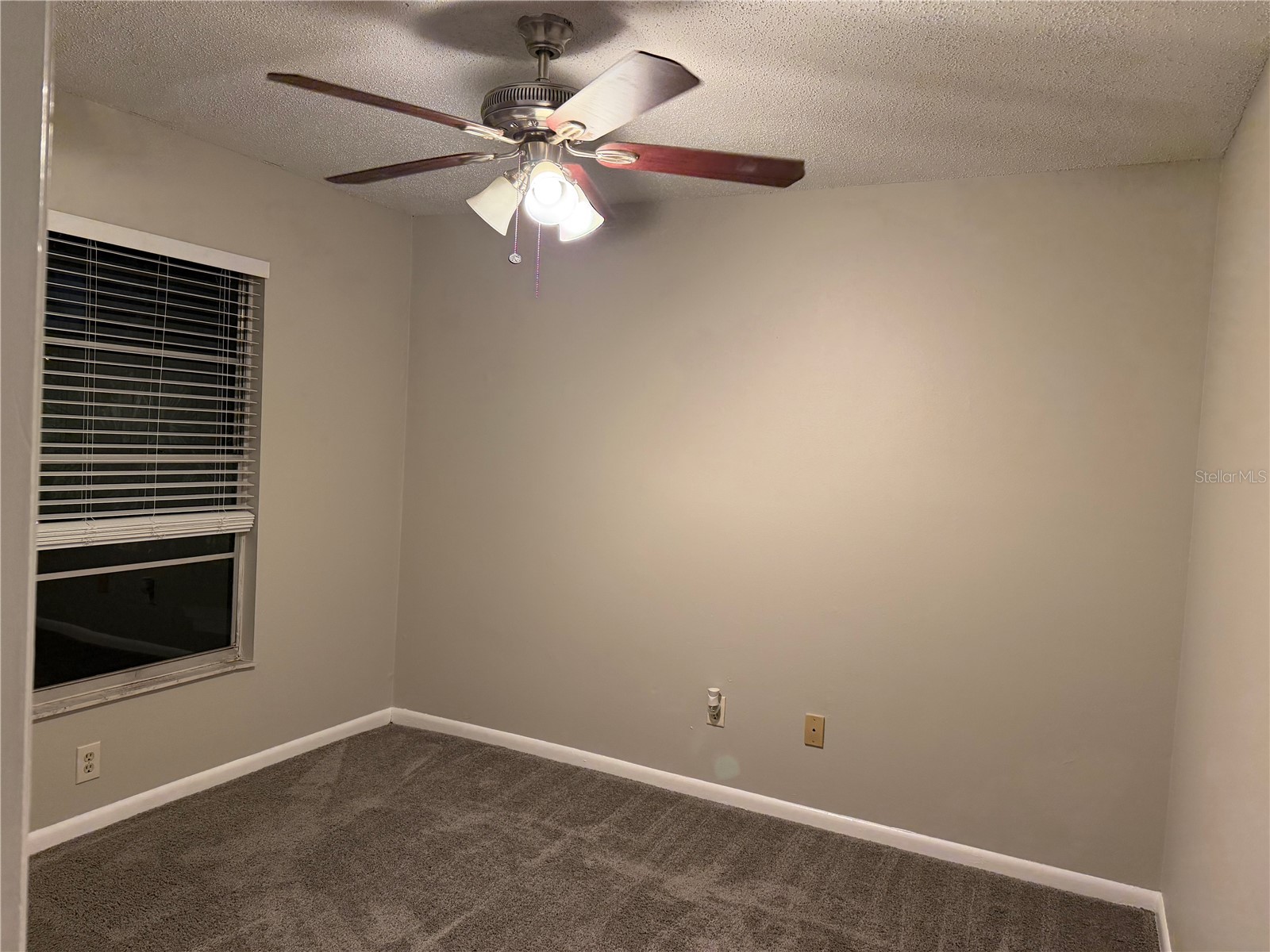 14752 Morning Drive Lutz FL 33559 TB8467957 image19