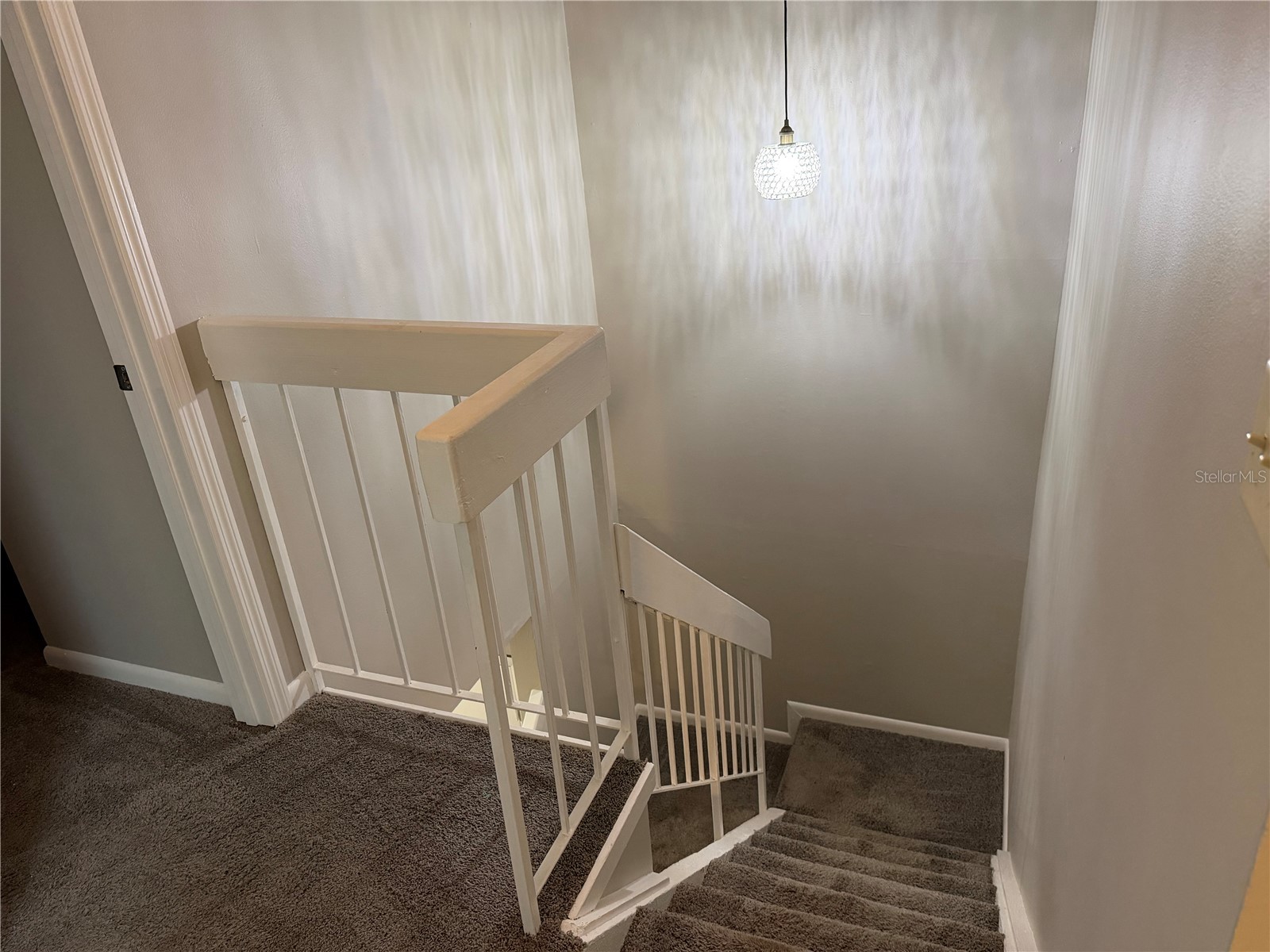 14752 Morning Drive Lutz FL 33559 TB8467957 image20