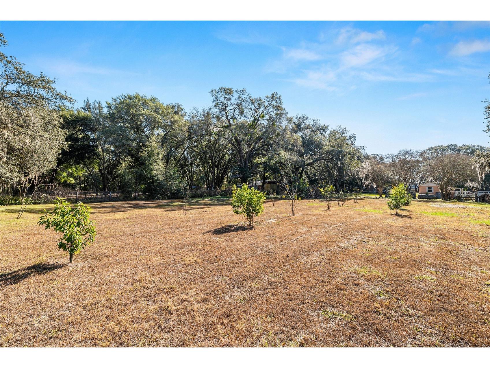 14765 SE 180th Street Weirsdale FL 32195 OM716135 image41