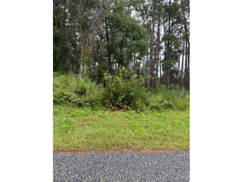 1476 6th Avenue Deland FL 32724 O6348770 image1