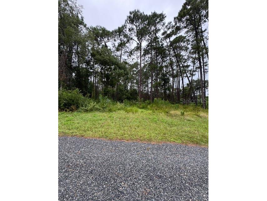 1476 6th Avenue Deland FL 32724 O6348770 image2