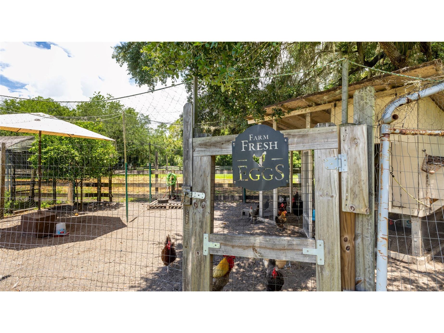 1476 Stone Trail Enterprise FL 32725 O6420143 image58