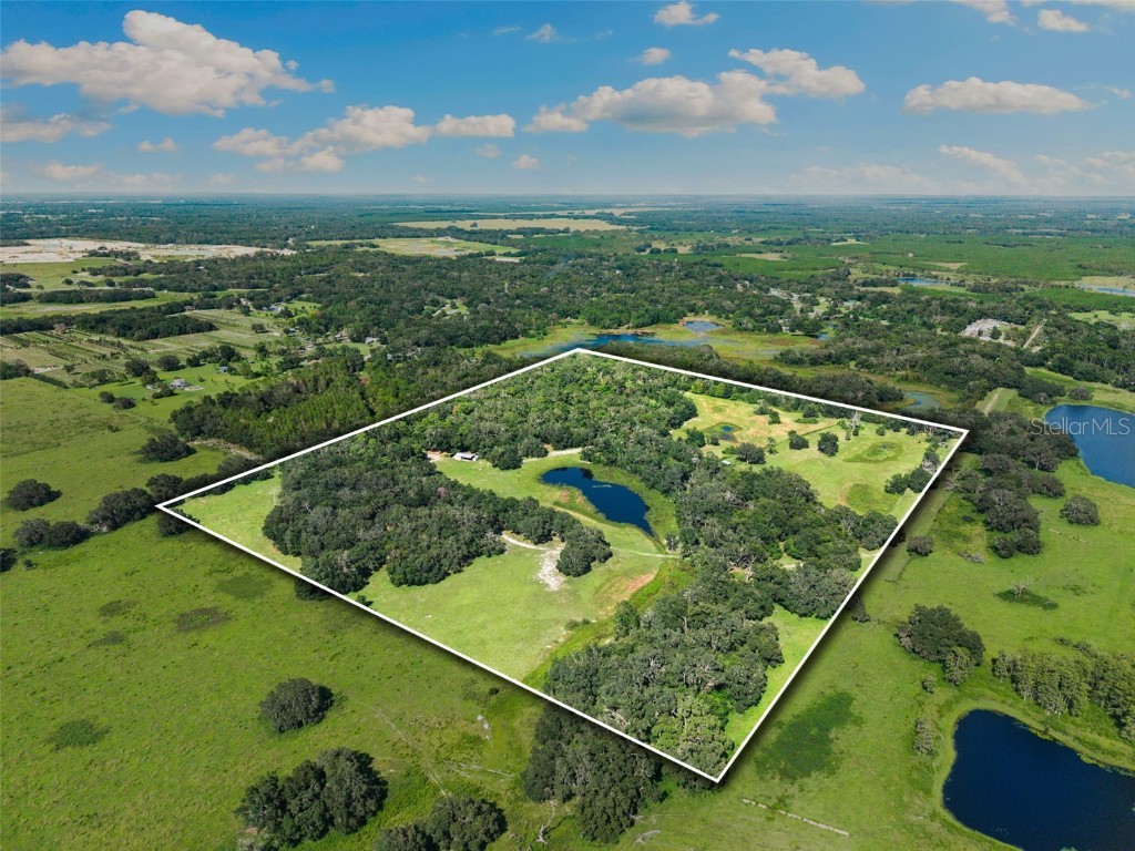 14765 Us Highway 41 Spring Hill FL 34610 TB8419309 image1