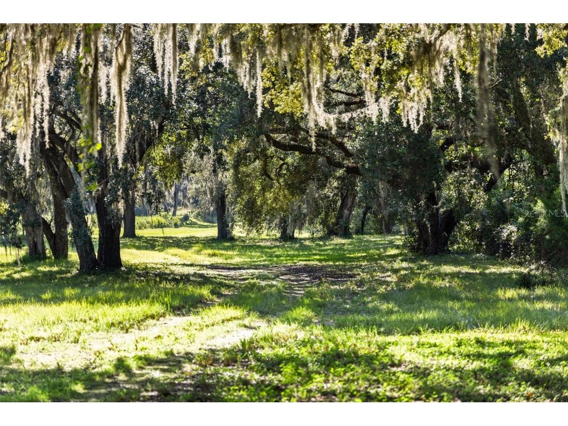 14765 Us Highway 41 Spring Hill FL 34610 TB8419309 image27