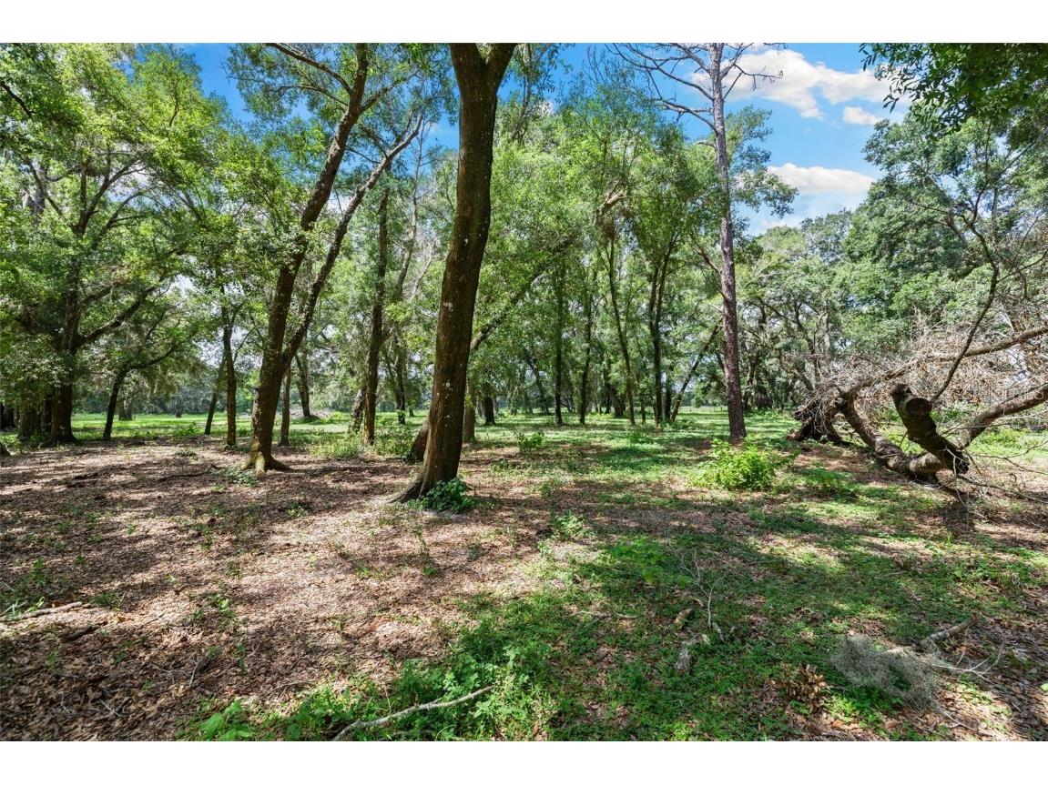 14765 Us Highway 41 Spring Hill FL 34610 TB8419309 image29