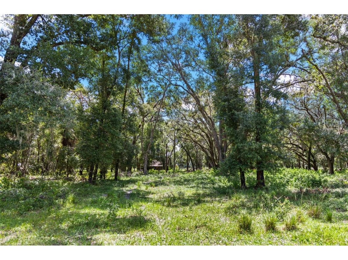 14765 Us Highway 41 Spring Hill FL 34610 TB8419309 image31