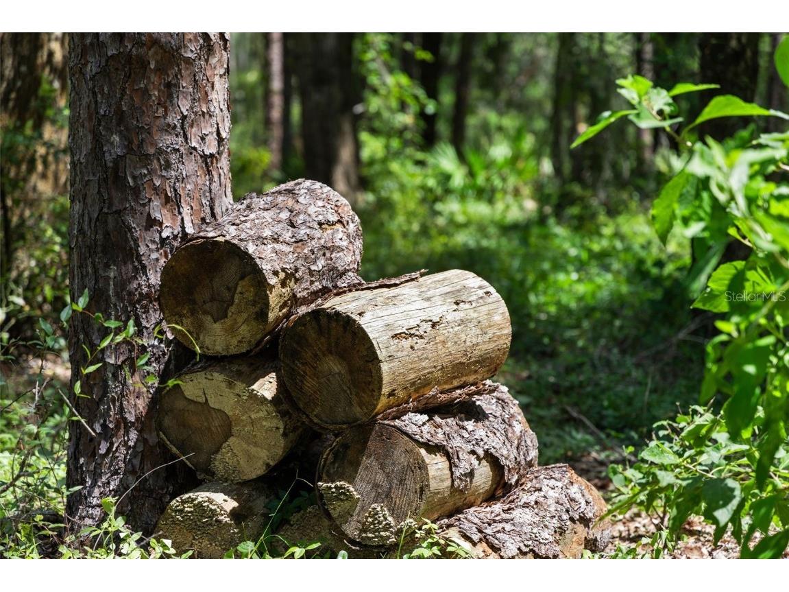 14765 Us Highway 41 Spring Hill FL 34610 TB8419309 image32