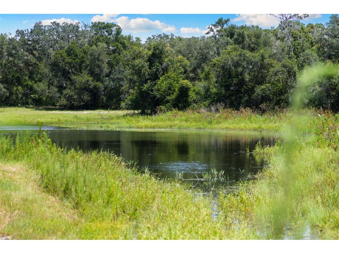 14765 Us Highway 41 Spring Hill FL 34610 TB8419309 image34