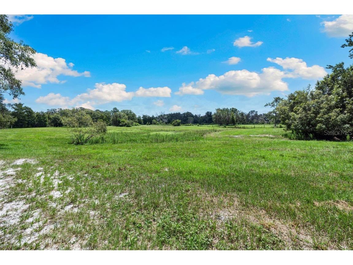 14765 Us Highway 41 Spring Hill FL 34610 TB8419309 image39