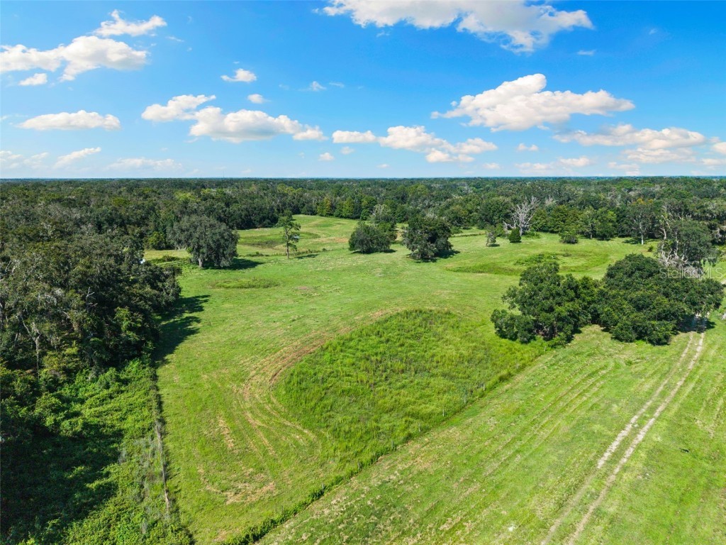 14765 Us Highway 41 Spring Hill FL 34610 TB8419309 image4