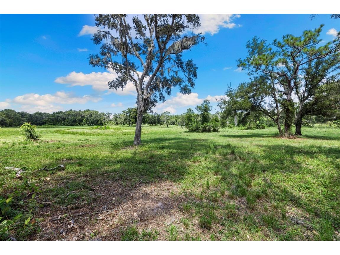 14765 Us Highway 41 Spring Hill FL 34610 TB8419309 image40