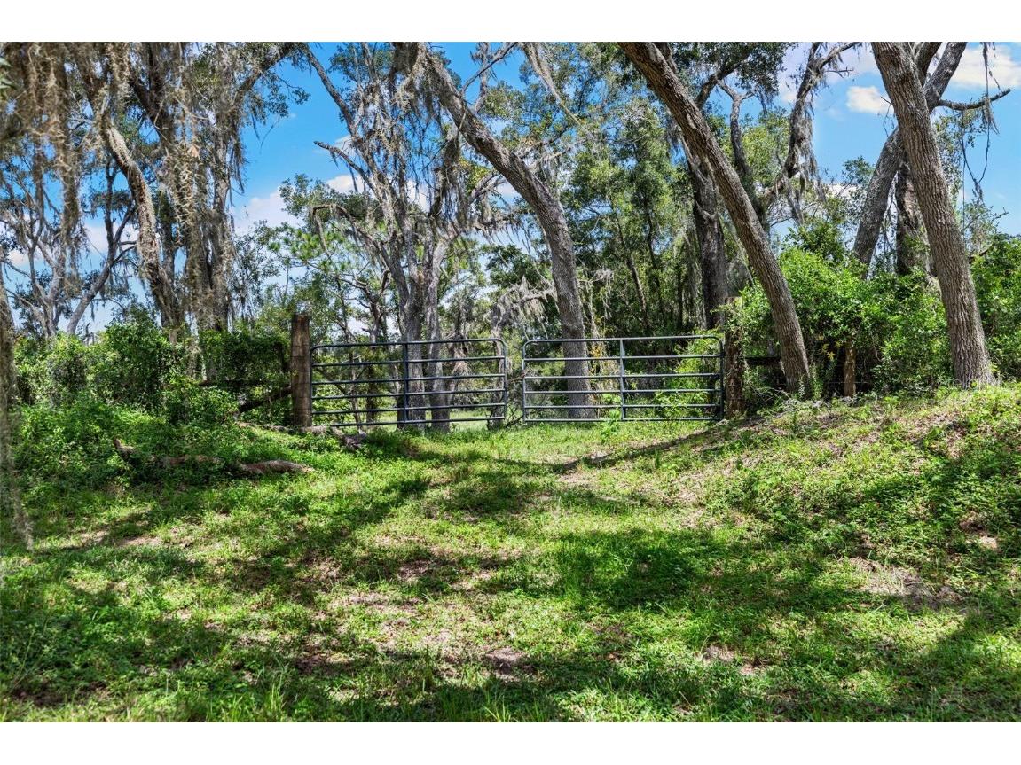 14765 Us Highway 41 Spring Hill FL 34610 TB8419309 image41