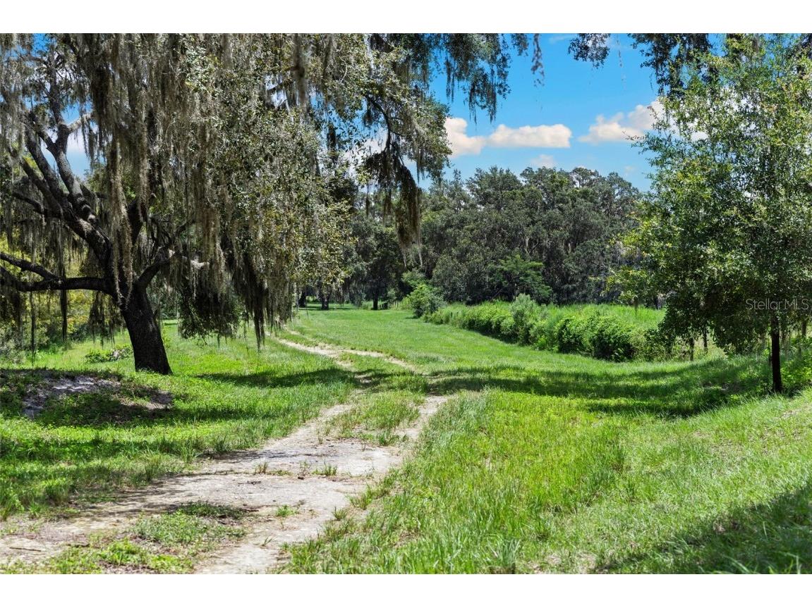 14765 Us Highway 41 Spring Hill FL 34610 TB8419309 image42