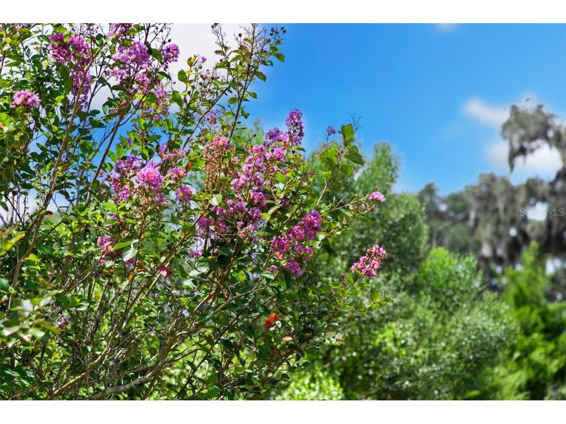 14765 Us Highway 41 Spring Hill FL 34610 TB8419309 image43